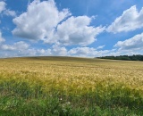 1d749e7e8c.jpg