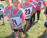 8c5e340821.jpg