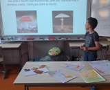 
                                                    img-Program Montessori Květňák-21
                        